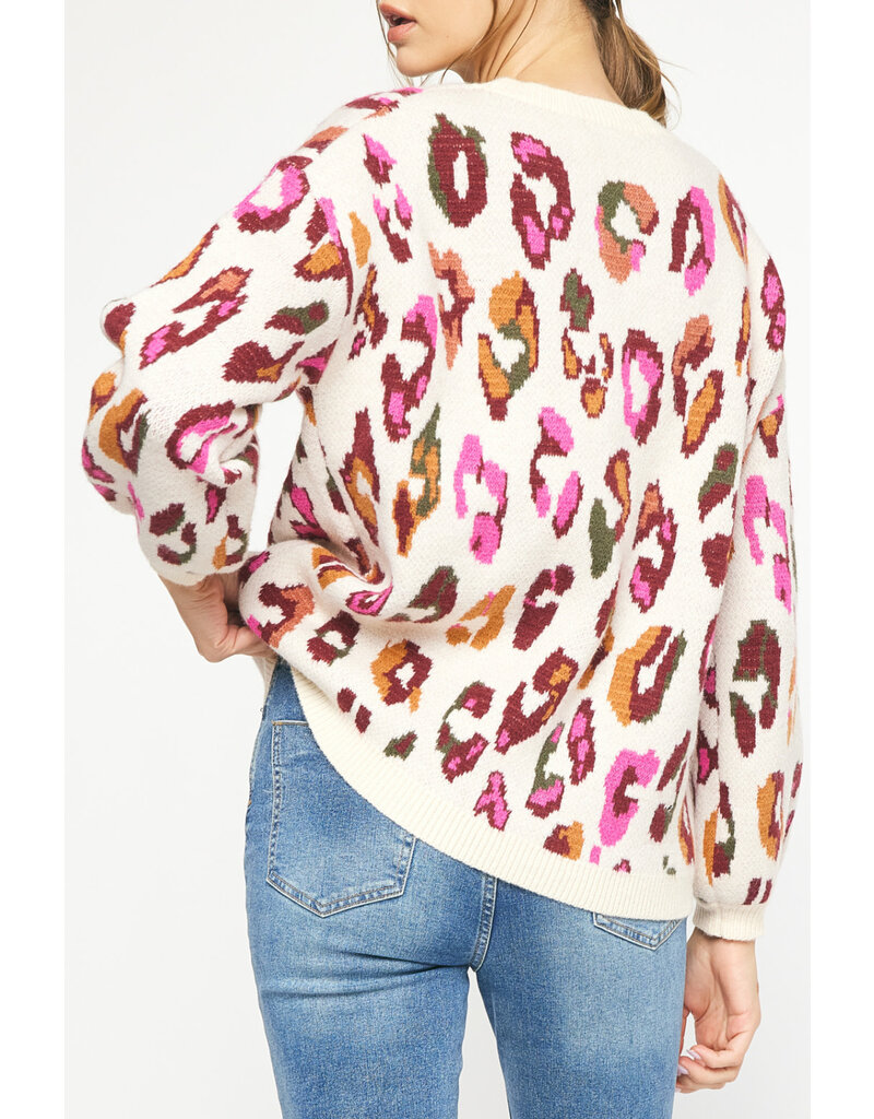 Entro Colorful Leopard print sweater