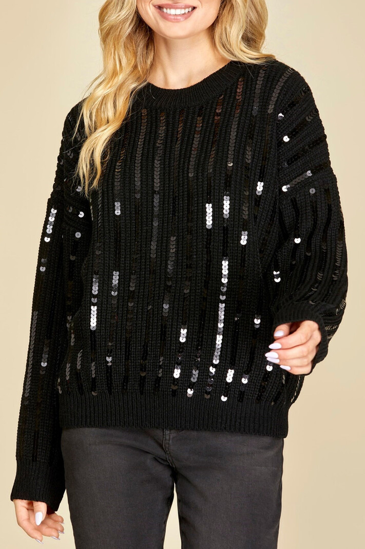 She & Sky Sequin pullover sweater