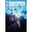 IDW PUBLISHING TRANSFORMERS #25 CVR B ANNA MALKOVA