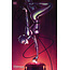 DC Comics CATWOMAN #28 CVR B JENNY FRISON VAR
