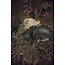 DARK HORSE COMICS WITCHER FADING MEMORIES #2 (OF 4) CVR A CAGLE