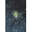 Image Comics DEEP BEYOND #1 (OF 12) CVR D MOMOKO VIRGIN