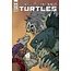 IDW PUBLISHING TMNT ONGOING #115 CVR A SOPHIE CAMPBELL