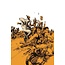 ABLAZE GUNG HO ANGER #1 CVR C KIM JUNG GI