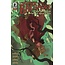 DARK HORSE COMICS LADY BALTIMORE WITCH QUEENS #3 (OF 5)