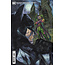 DC Comics BATMAN FEAR STATE OMEGA #1 (ONE SHOT) CVR B SIMONE BIANCHI CARD STOCK VAR