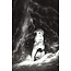 ABLAZE ANIMAL CASTLE #5 CVR C 10 COPY DELEP VIRGIN INCV (MR)