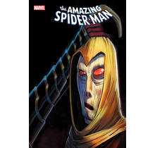 AMAZING SPIDER-MAN 11