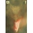 DC Comics BATMAN & THE JOKER THE DEADLY DUO #6 (OF 7) CVR C BILL SIENKIEWICZ JOKER VAR (MR)