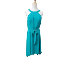 Miss Anne Ammity Dress