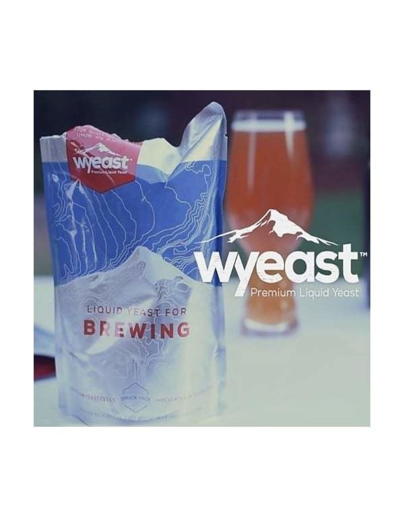 Wyeast Wyeast 1084 Irish Ale
