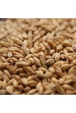 Rahr 2 Row Rahr Malt 1.9L 55 LB
