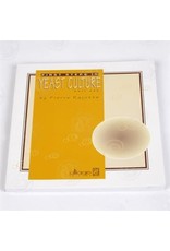 First Steps in Yeast Culture (book)