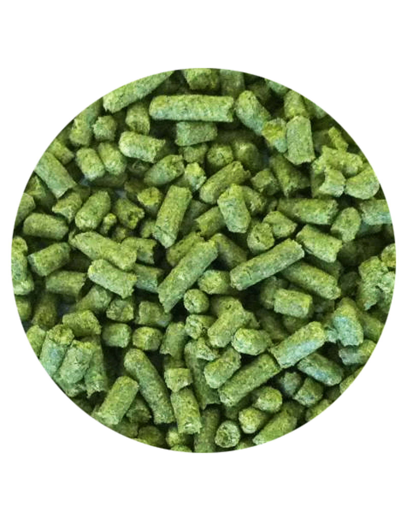 Artisan hops Columbus Hop Pellets