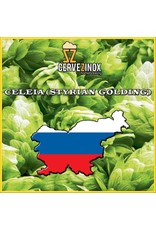 Artisan hops Styrian Goldings (Celeia) Hop Pellets