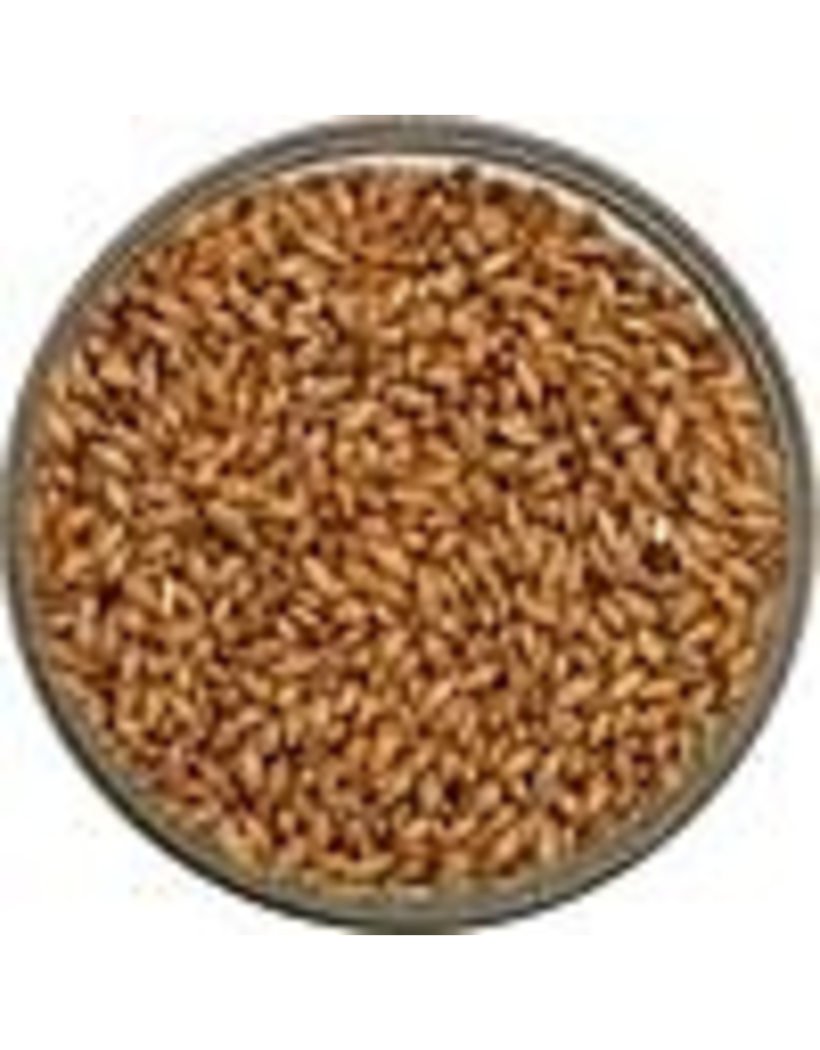 Briess Goldpils Vienna Malt 3.5L Briess