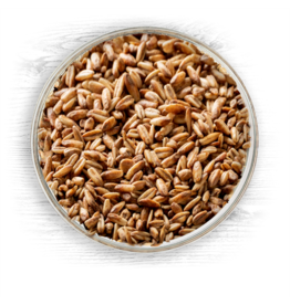 Briess Blonde Roast Oat Malt 4L Briess