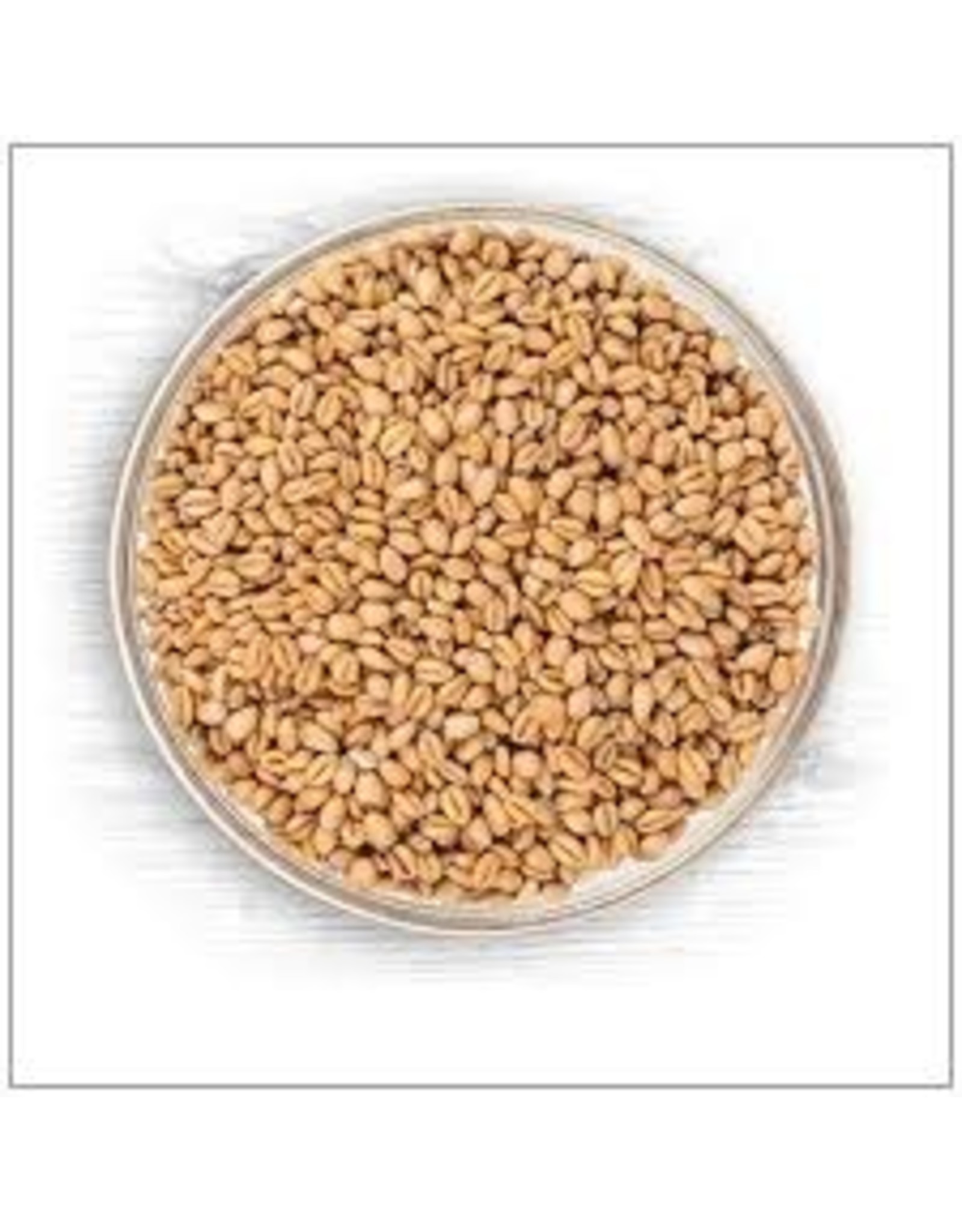 Briess Briess Caracrystal Wheat Malt 55L