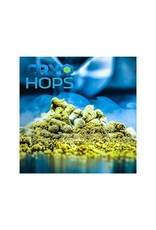 Yakima chief Centennial CRYO hops 1 oz