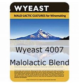 Wyeast Wyeast 4007 Malo-Lactic Blend Yeast