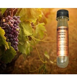White labs WLP 790 PurePItch® Next Generation Malolactic Bacteria