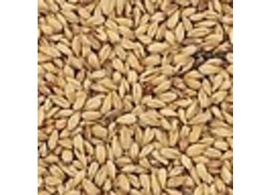 Grain