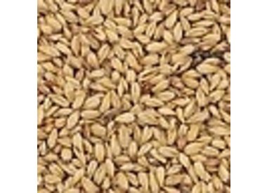 Pale ale malt 3.5 - 3.8 L