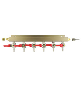 6 line manifold 1/4" barb CO2 distribution