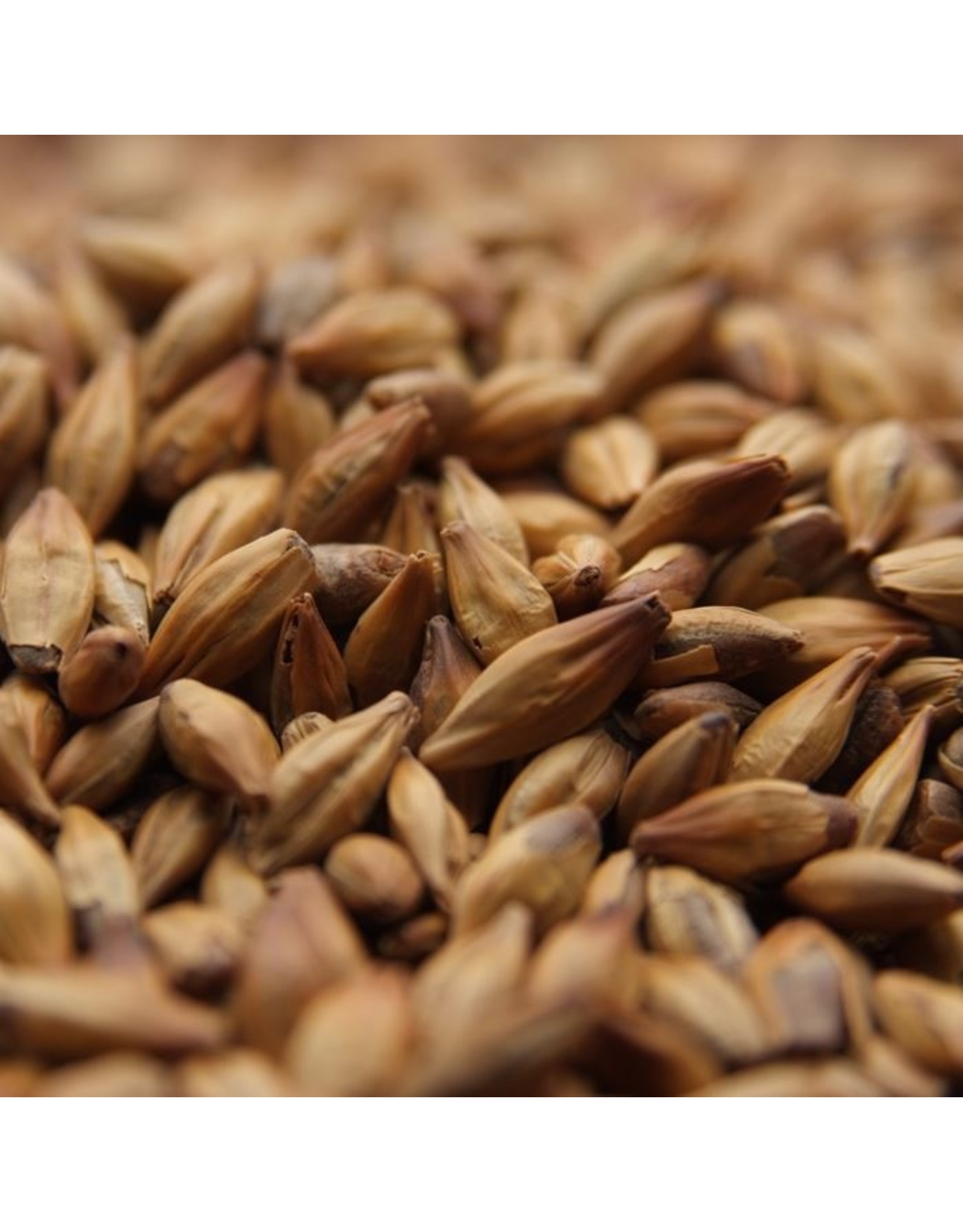 Weyermann CaraMunich Type 1 Malt 34L Weyermann 55 LB
