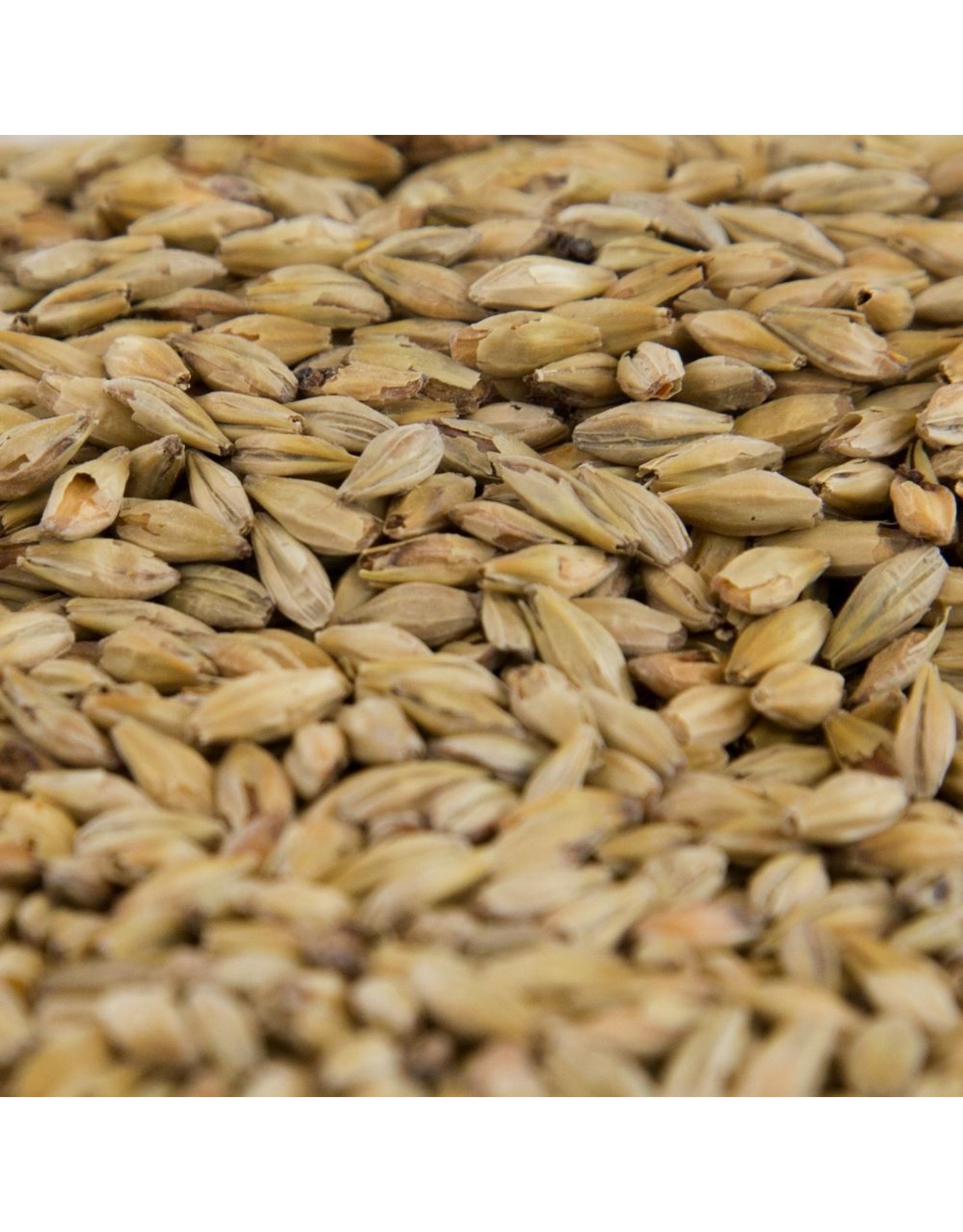 Gambrinus Honey Malt 20-25L Gambrinus 55 LB