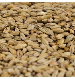 Gambrinus Honey Malt 20-25L 55 LB