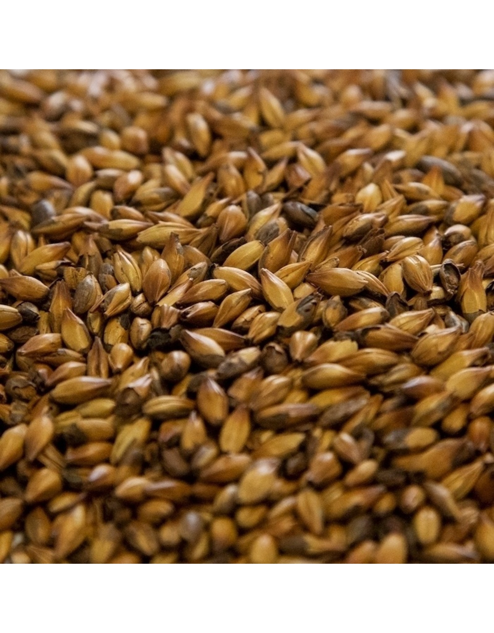 Dingemans Special B Malt 115-135L Dingemans 55 LB