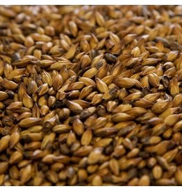 Dingemans Special B Malt 115-135L 55 LB
