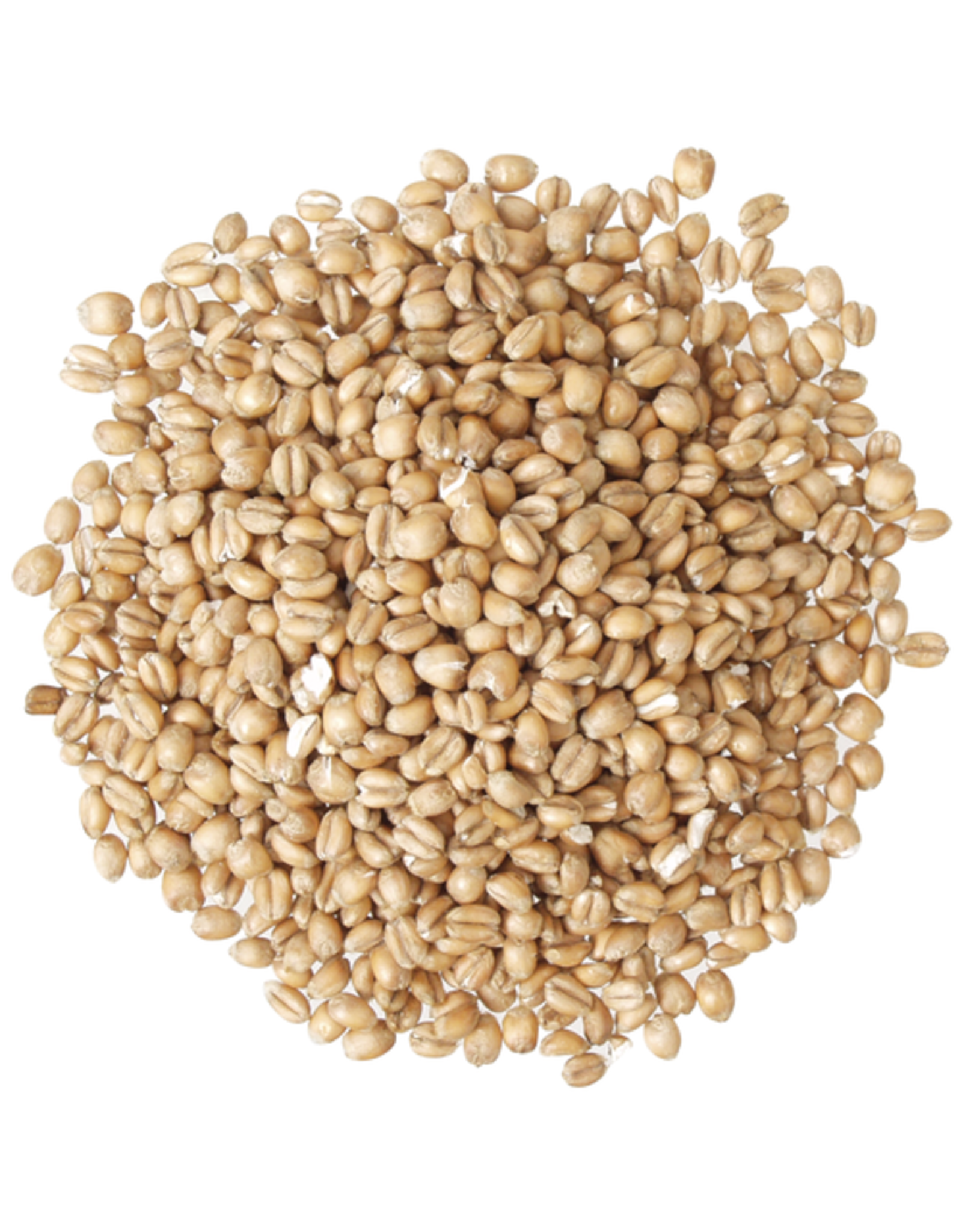 Briess Torrified Wheat 1.5L Briess 50 Lbs