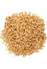 Briess Smoked Malt Cherry 5L Briess 50 LB
