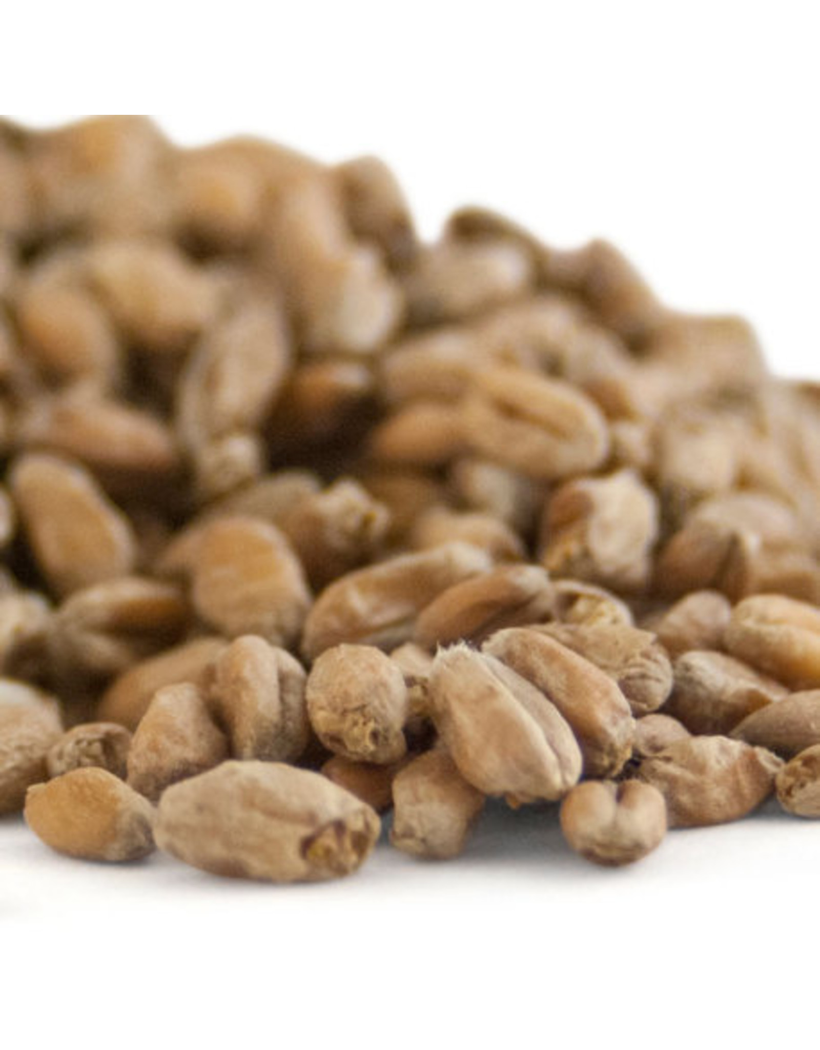 Avangard Wheat Malt - Avangard