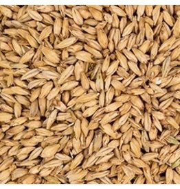 Flaked Oats - 50 lbs. Bulk Bag, Flaked Grains & Adjuncts: Great  Fermentations