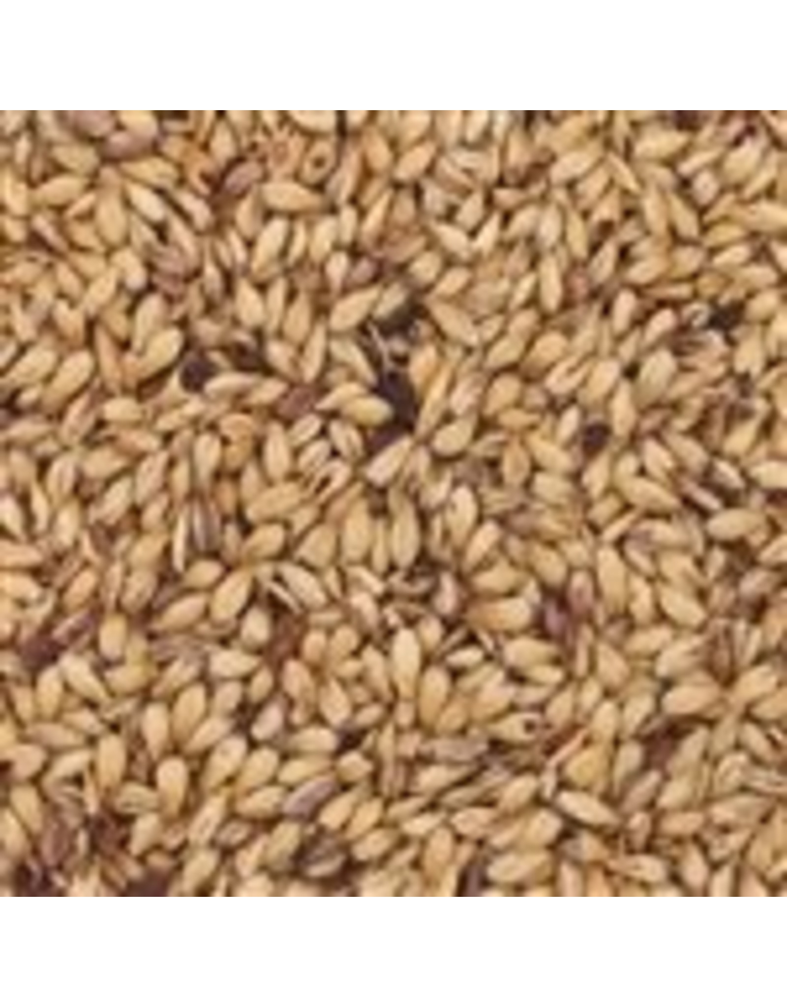 Briess Caramel 40L Briess (crystal) 50 LB