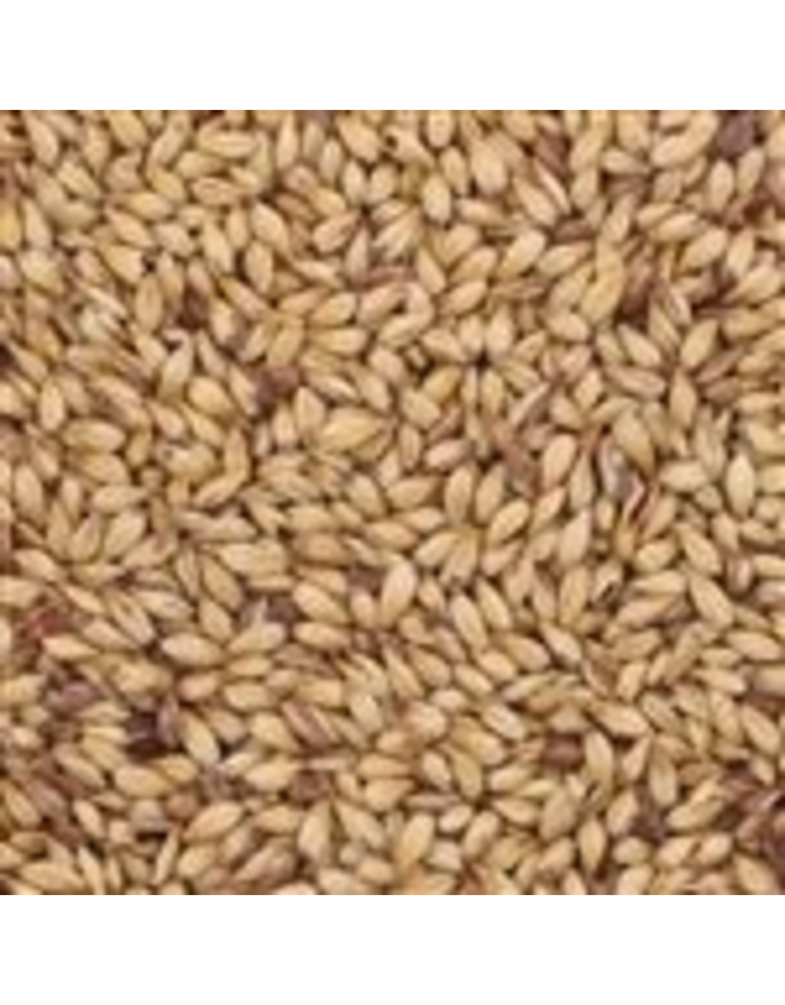 Briess Caramel 20L Briess (crystal) 50 LB