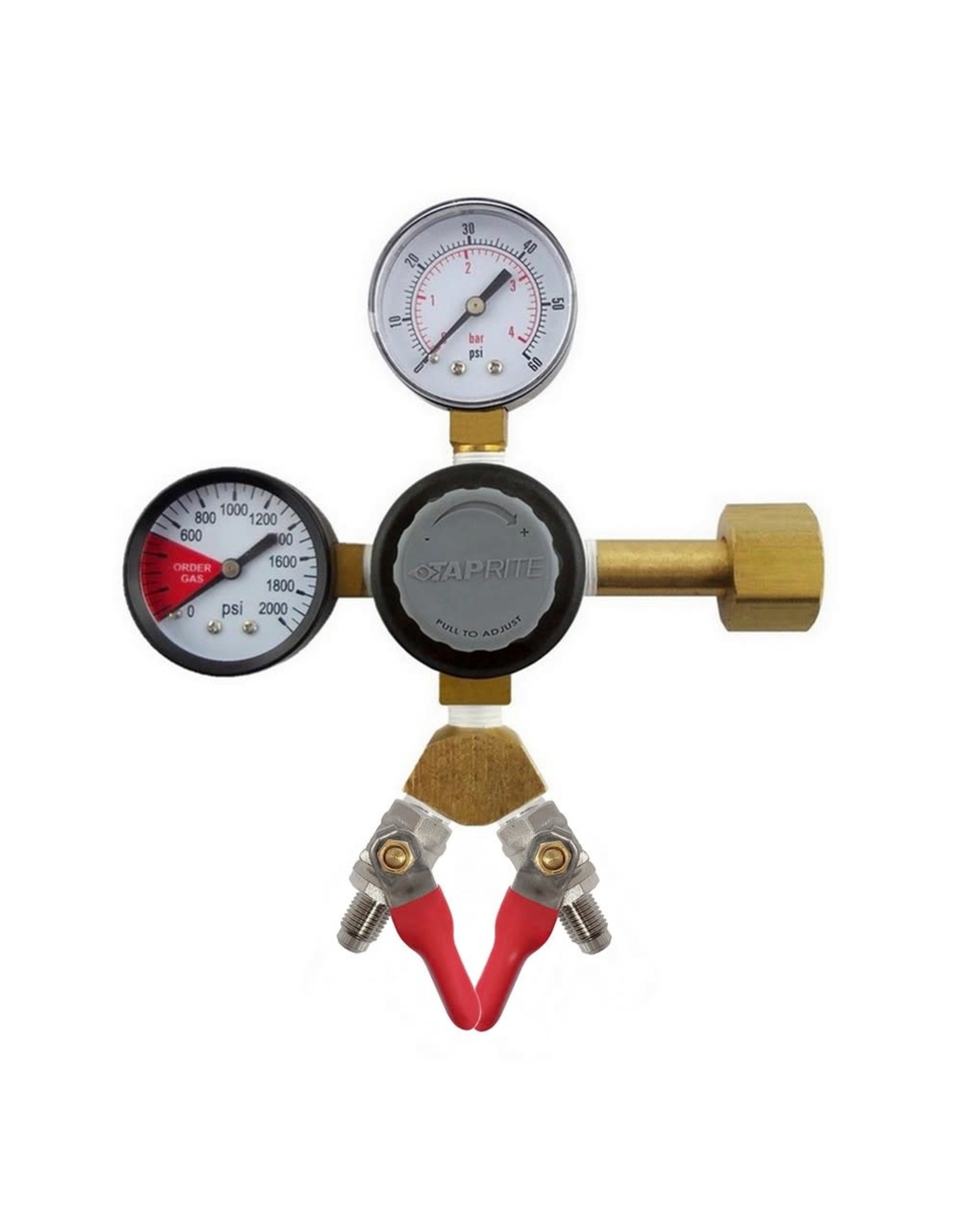 CO2 regulator Y 1/4 MFL w/ check valve 100 : 2000