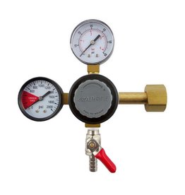 Dual regulator 3/8" B Shutoff, 60 & 2000# Gauges Taprite