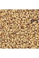 Briess Pale Malt Briess