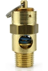 Regulator parts: 60 PSI Relief Valve