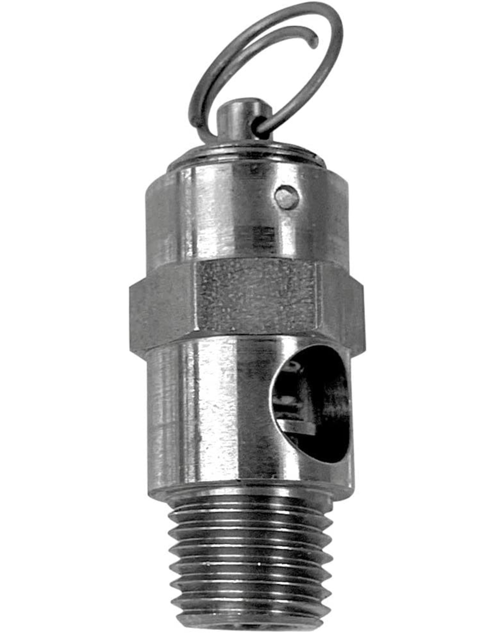 Regulator parts: Relief Valve, 1/4 MPT 60 PSI (S/S)