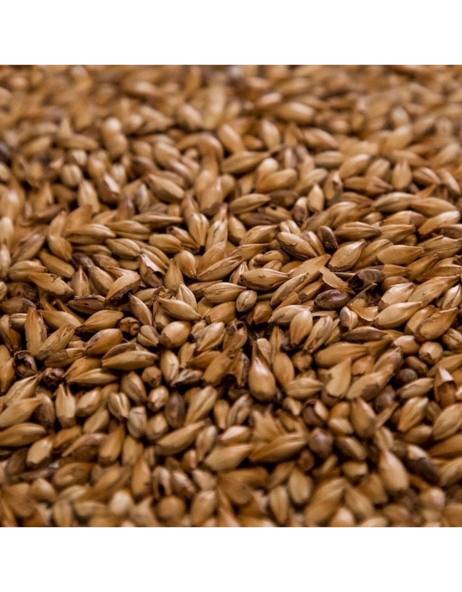 Dingemans Cara 45 Malt (Caramunich) 45L Dingemans 55 LB