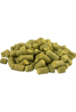Hallertau Mittelfruh Hops (Pellets) - 11 lbs.