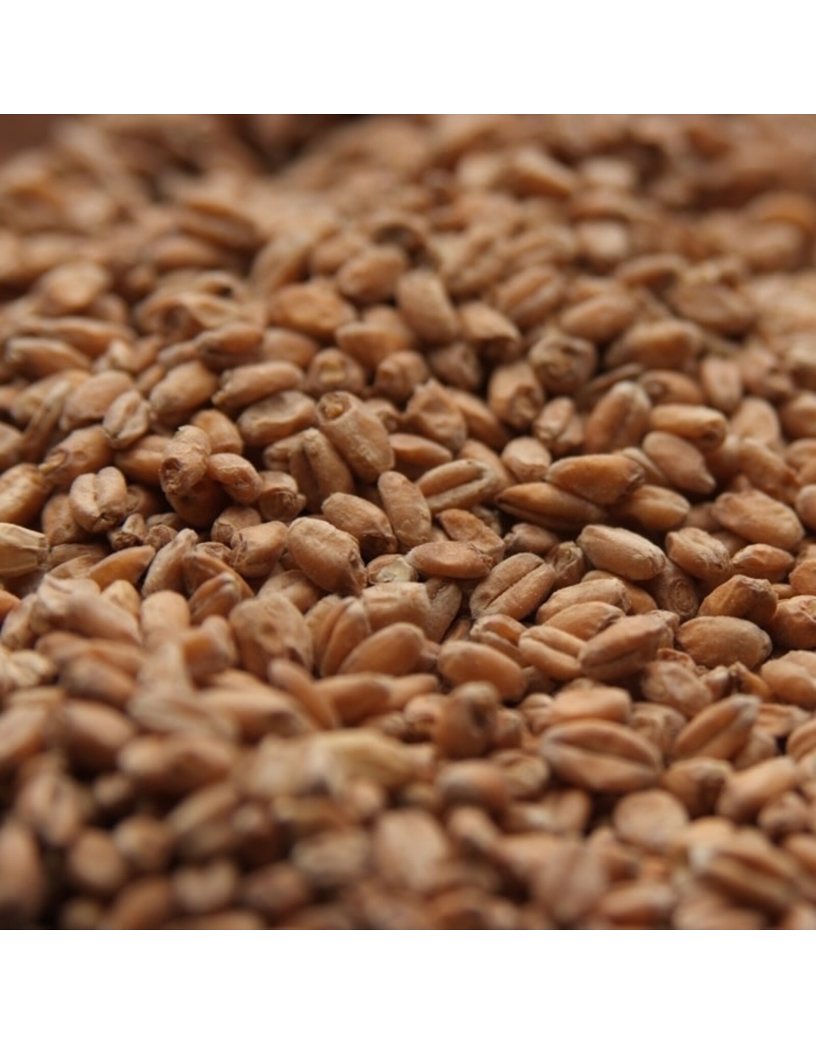 Rahr Rahr Red Wheat malt 2.9L 55 lb (25 kg)
