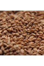 Rahr Rahr Red Wheat 2.9 L 1 LB