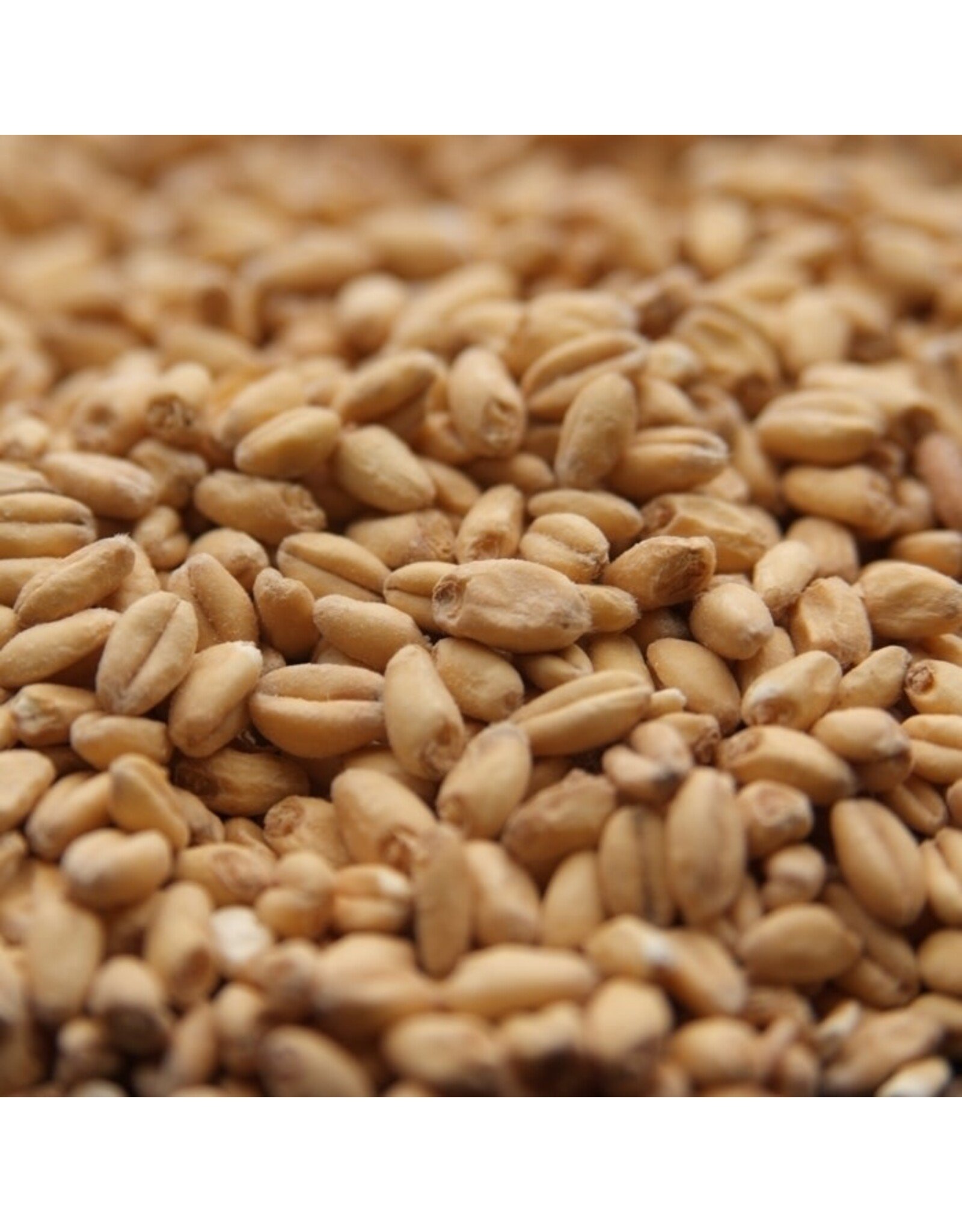 Rahr Rahr White Wheat Malt 2.7-3.5 L 1 oz