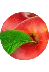 Brewer's Best All natural extract 4 oz Apple
